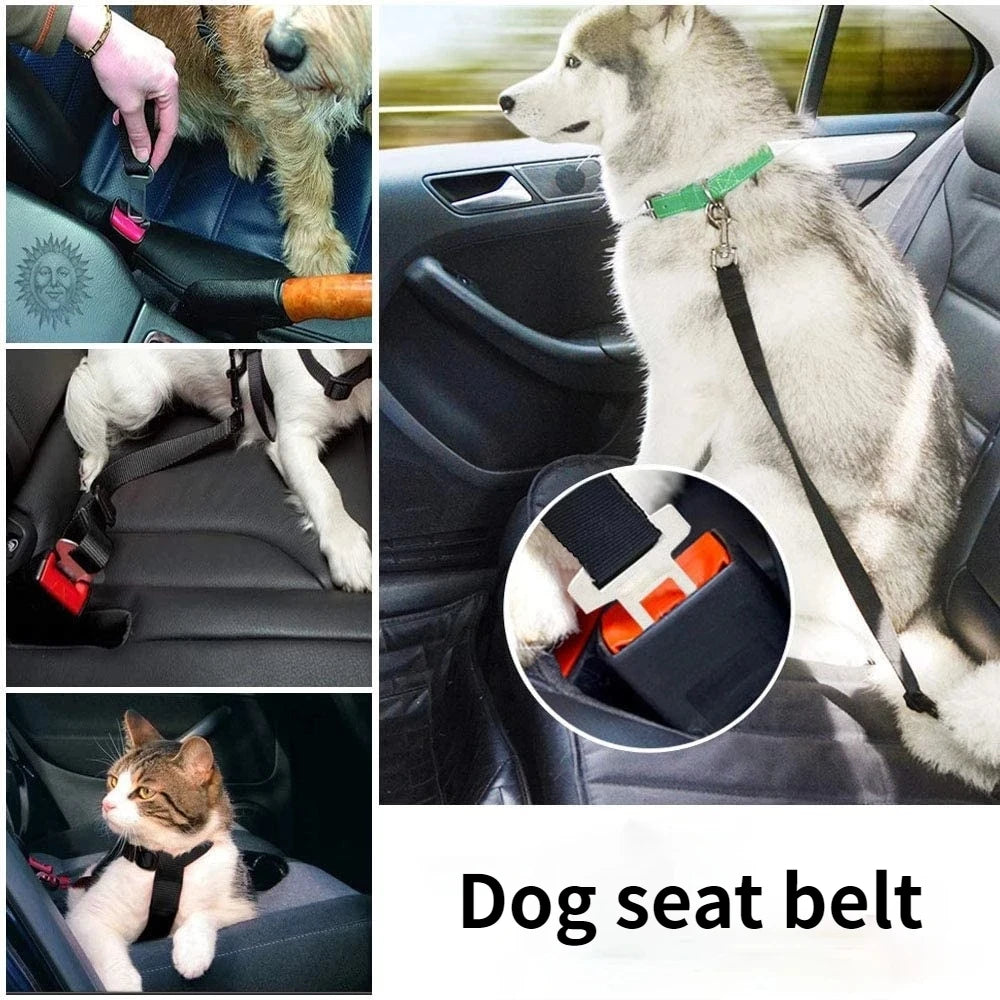 Säkerhetsbälte för hund
