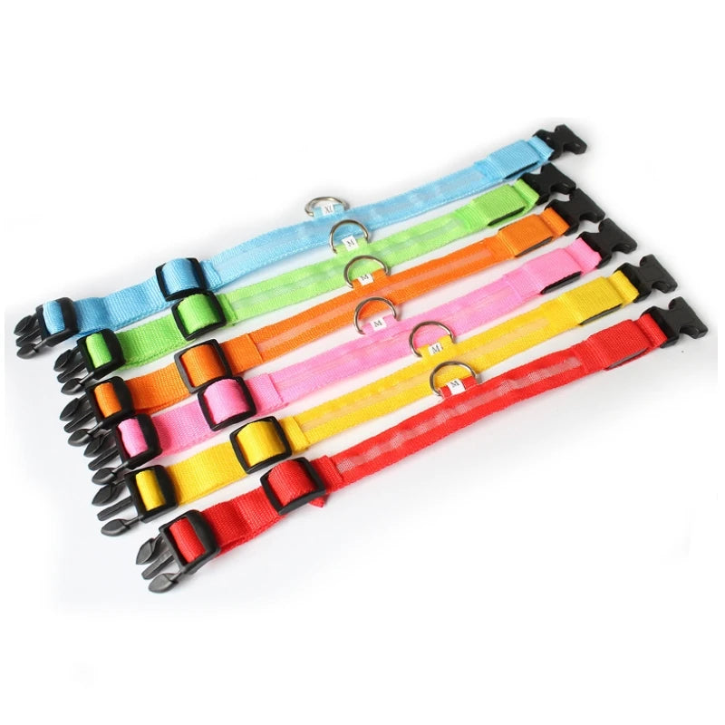 LED-halsband för hund