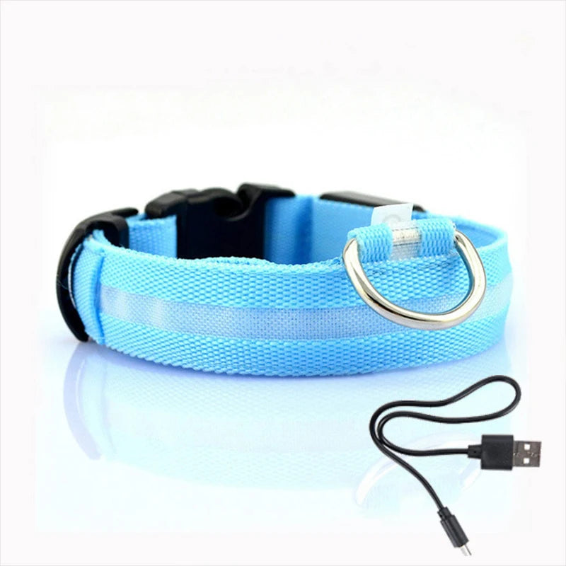 LED-halsband för hund