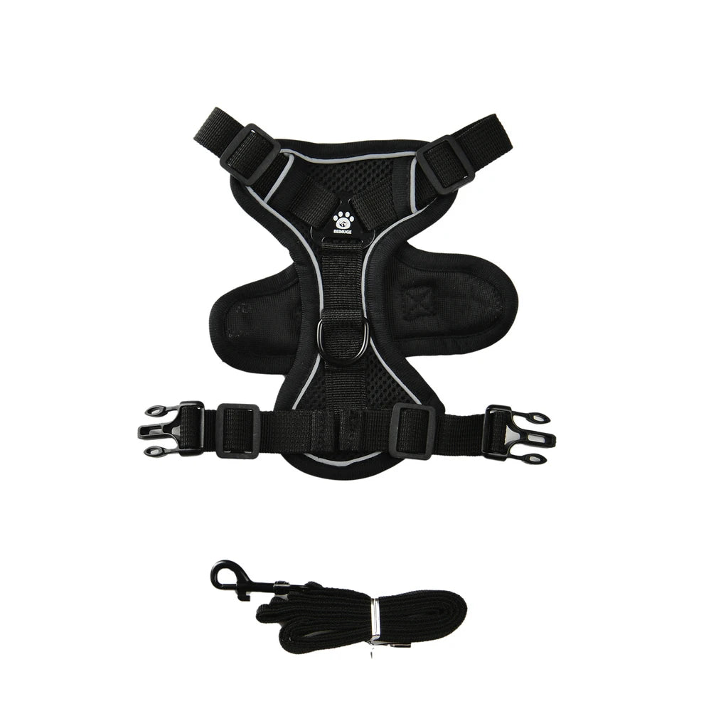 Hundsele med koppel för små och medelstora hundar/katter.
