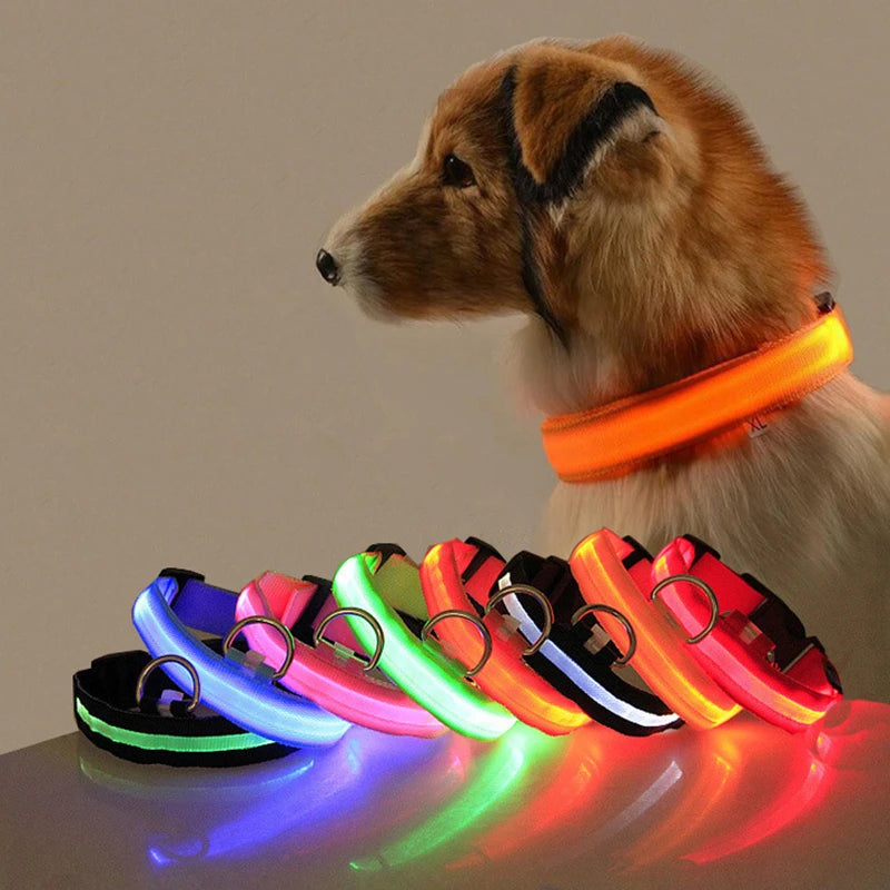 LED-halsband för hund