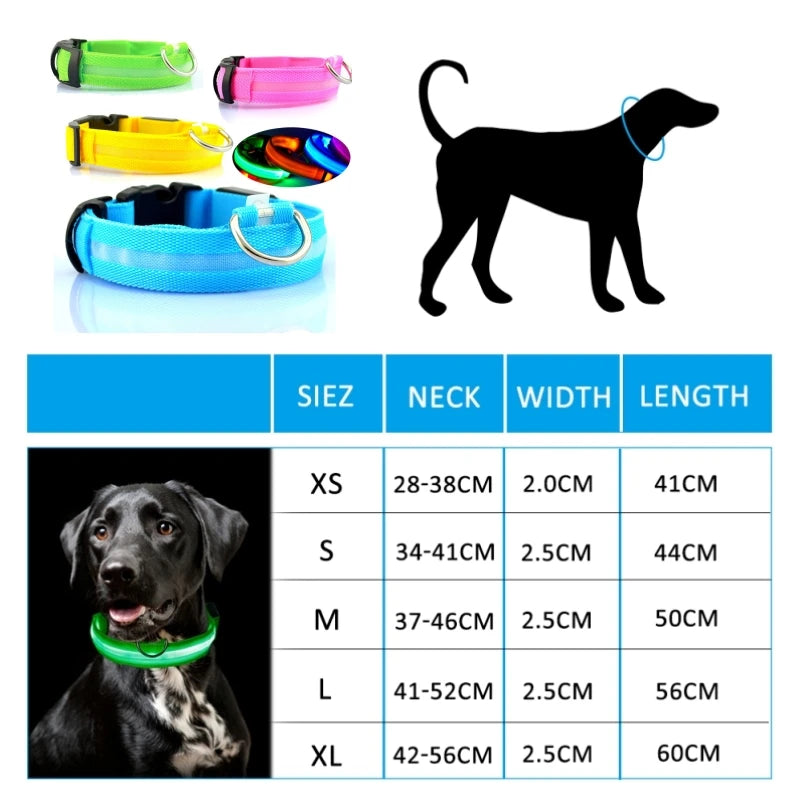 LED-halsband för hund