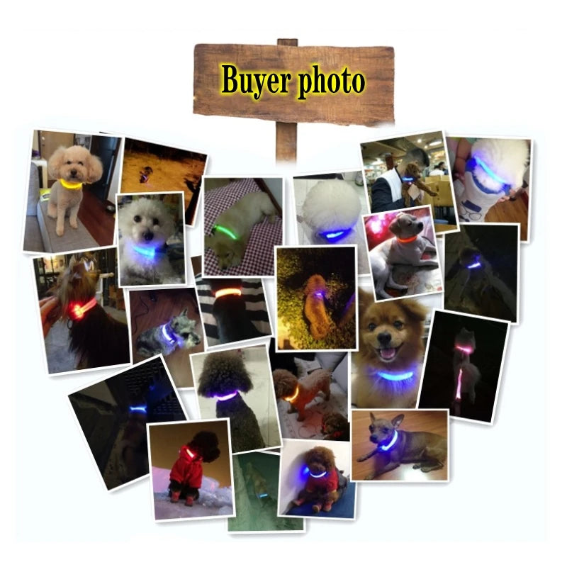 LED-halsband för hund