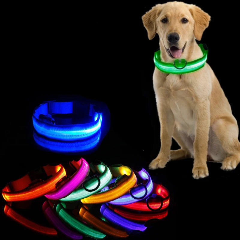 LED-halsband för hund