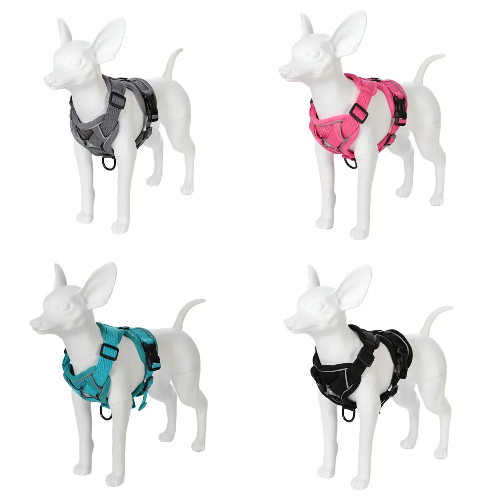 Hundsele med koppel för små och medelstora hundar/katter.