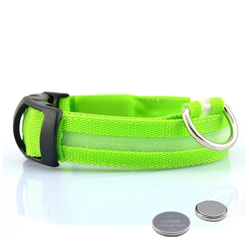 LED-halsband för hund