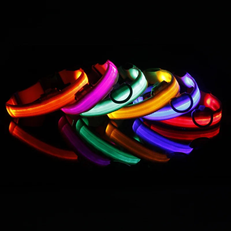 LED-halsband för hund