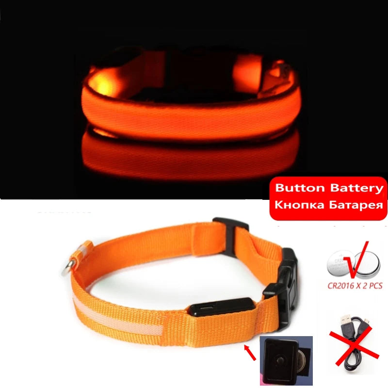 LED-halsband för hund