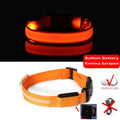 LED-halsband för hund