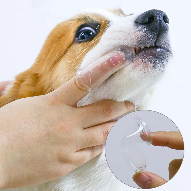 Finger-tandborste för hund och katt