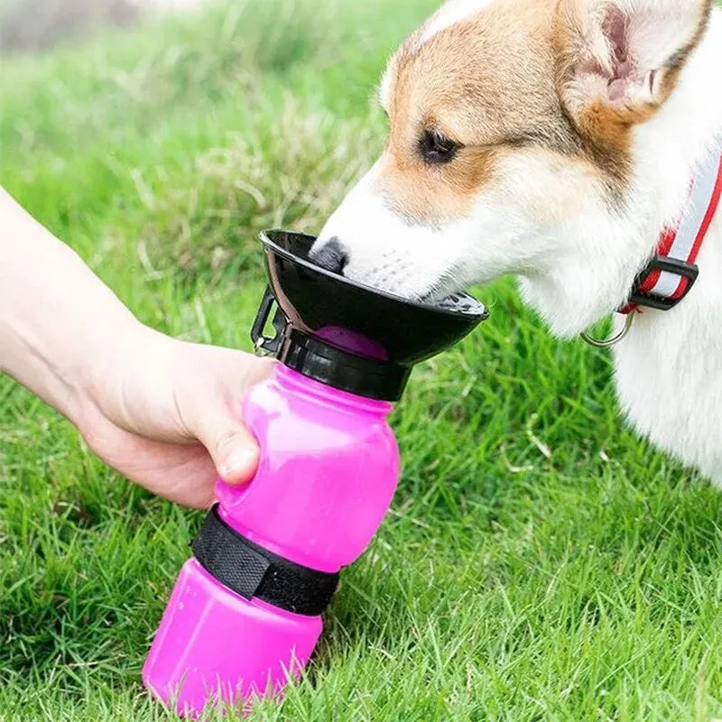 Portabel vattenflaska för hund