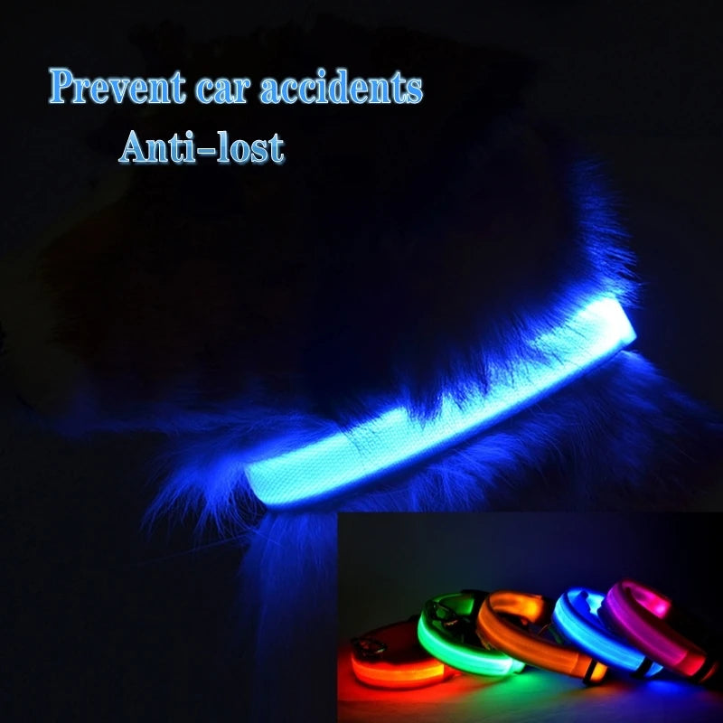 LED-halsband för hund