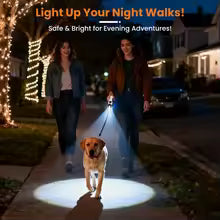 Led utdragbart hundkoppel för nattpromenad